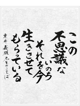 この不思議ないのち